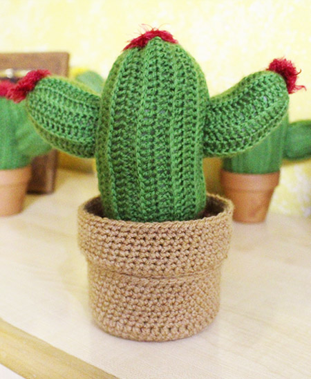 Caja Cactus