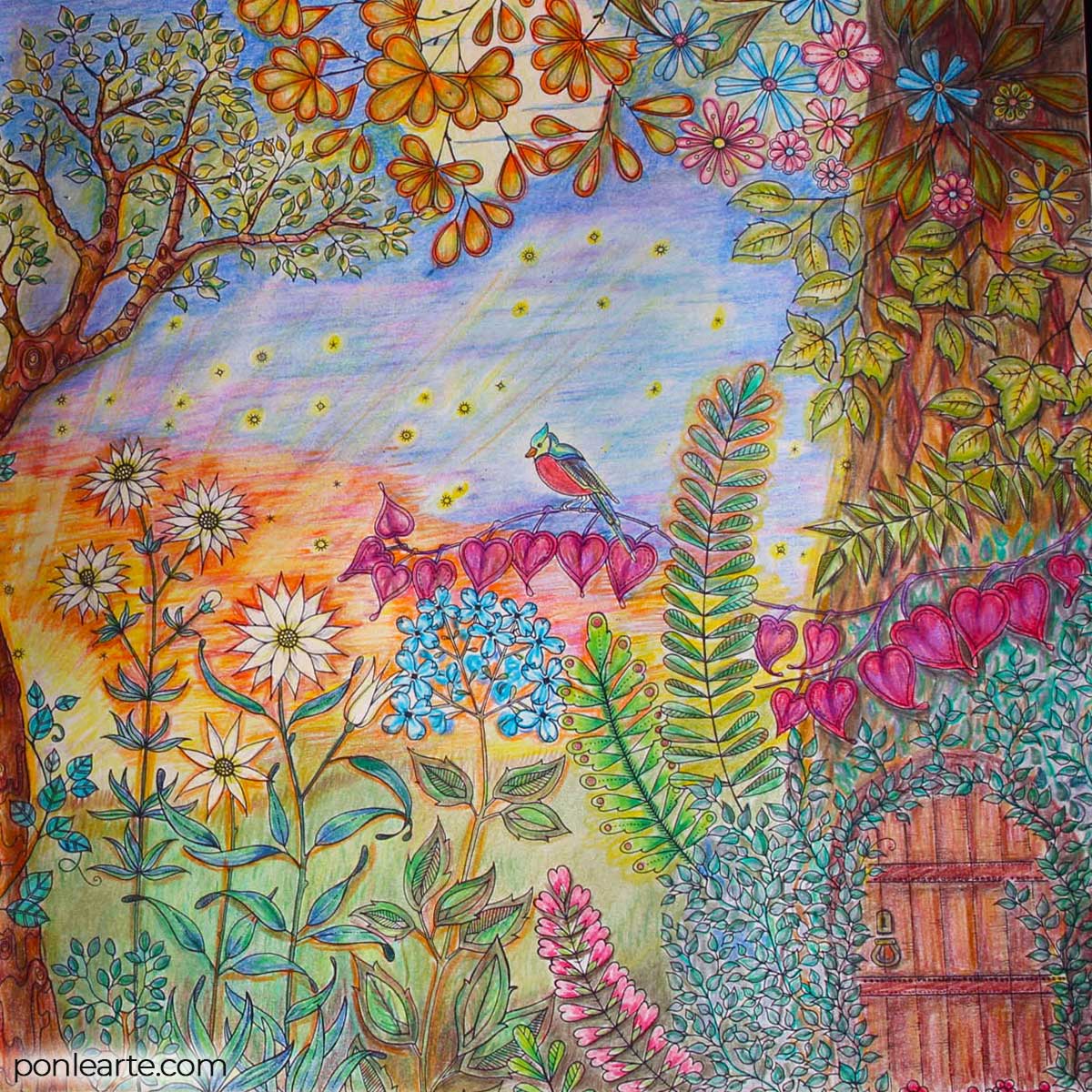 Secret Garden. Colorear. Clara Ortega. Ponle arte.