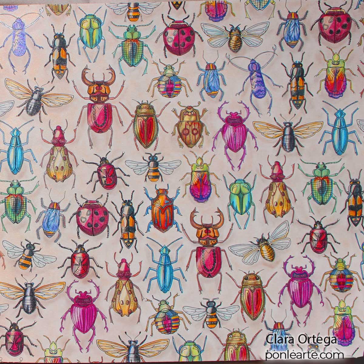 Árbol y escarabajos. Secret Garden. Colorear. Clara Ortega. Ponle arte.